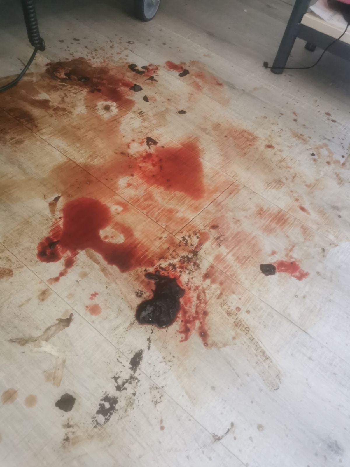Faut-il prévoir une désinsectisation avant ou après nettoyage extrême ? Image0000001